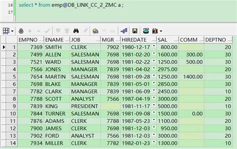 Oracle SQL Developer Query Materialized View 的图像结果