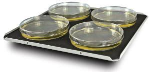 Accessories for orbital platform shaker ES-20 | VWR