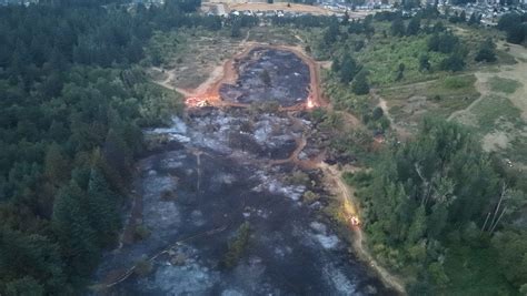 Oregon wildfire's path seen via aerial photos outside Salem