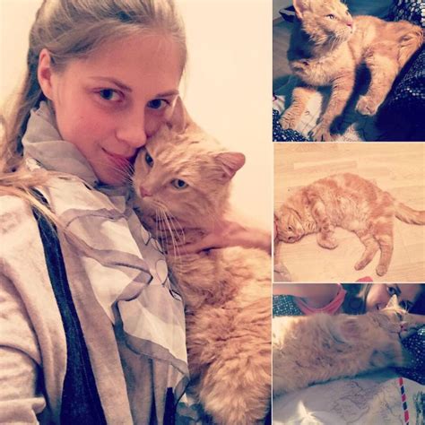 This Girl Rescued Over 350 Stray Cats In 2 Years & Found Them Loving ...