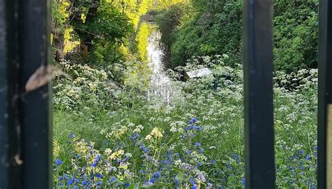 CROYDON CANAL - All You Need to Know BEFORE You Go 2026 (with Photos ...