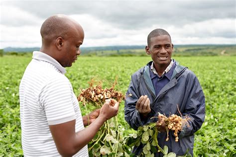 The view from the fields - PMI's 2020 in pictures | Philip Morris ...