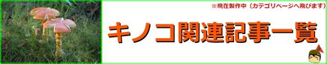Image result for Google Maps API Website Examples