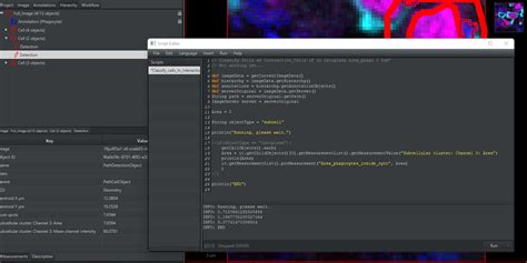 QuPath Tutorial 的图像结果