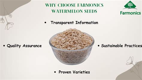 Tarbuj Magaz (watermelon Seeds) online | Avail Discount- Farmonics