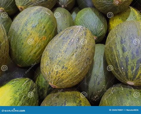 Crhistmas Melon or Santa Claus Piel De Sapo Stock Image - Image of ...