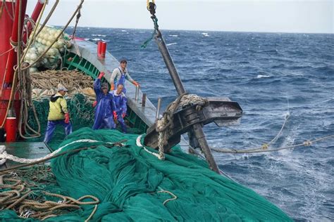 二十人4500元包船出海捕鱼，捕获的海鲜吃完一餐，每人还分到一箱_腾讯新闻
