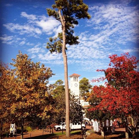 Emory University Office Photos