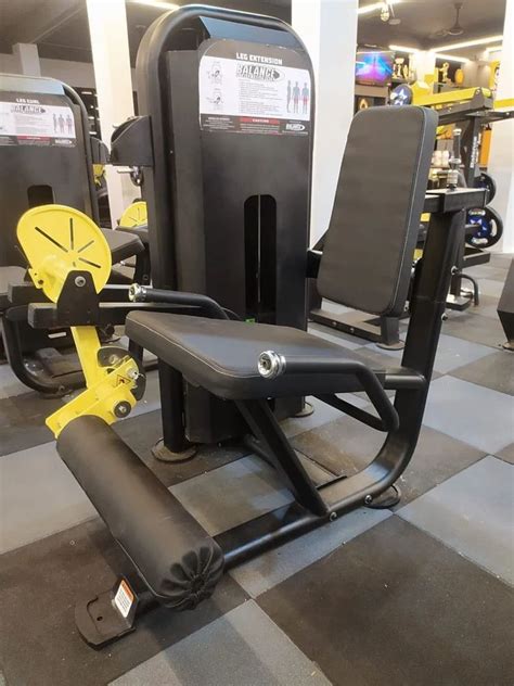 Image result for Leg Extensor Machine