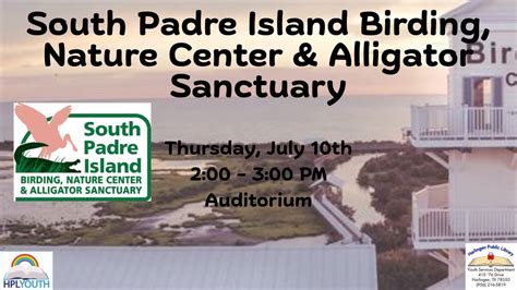 Presentation: South Padre Island Birding, Nature Center, and Alligator ...