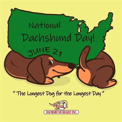 National Dachshund Day - Adult Unisex T-Shirt – AnimalPride.com