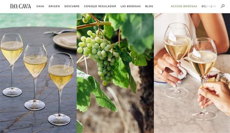 D.O. Cava Launches a New Website | D.O. Cava