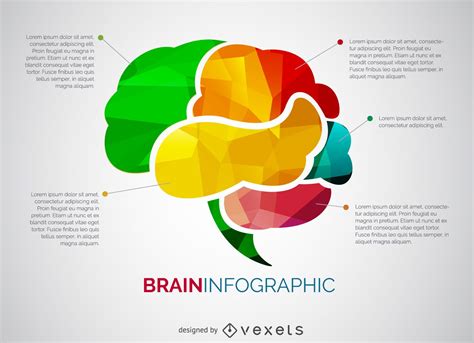 Brain Infographic Template