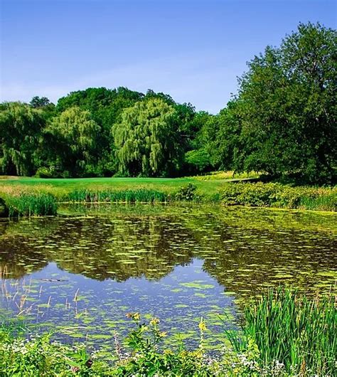 Blue Fox Run Golf Course - Golf Course Information | Hole19