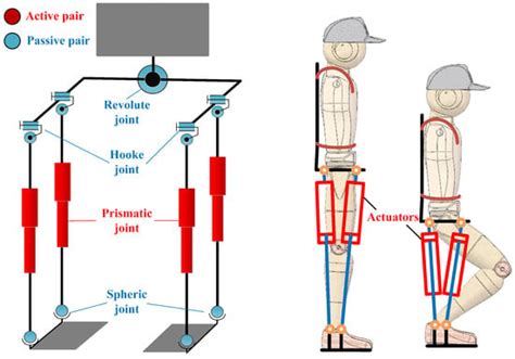 Design and Control of a Series–Parallel Elastic Actuator for a Weight ...