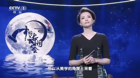 中国诗词大会第二季第一期第二期北大工科博士生“陈更”CUT_综艺_娱乐_bilibili_哔哩哔哩