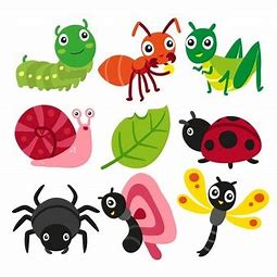 Image result for insects clipart