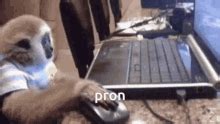 Image result for Monkey Computer Issue GIF