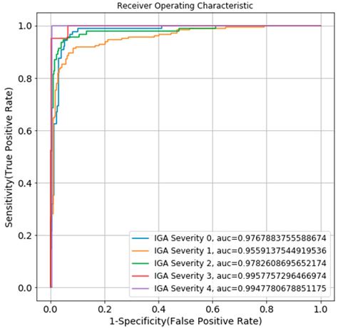Automatic Acne Object Detection and Acne Severity Grading Using ...