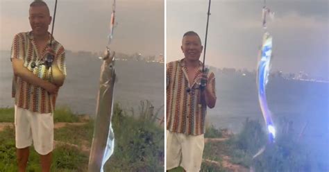 Image result for Alien Fish Catching