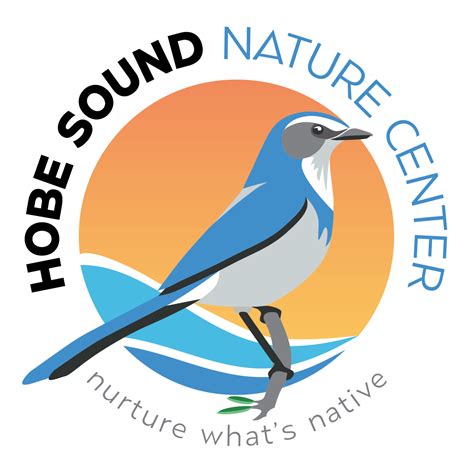 Activities — Hobe Sound Nature Center
