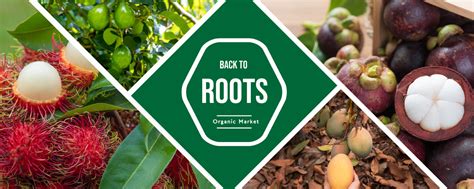 Back to roots - fruits | exotic fruits