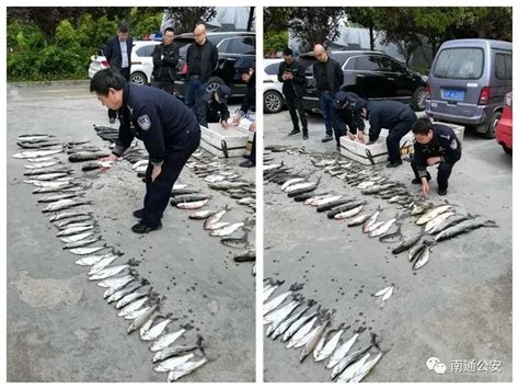 非法捕捞可能构成犯罪，这些“禁捕”知识点不容错过！_腾讯新闻
