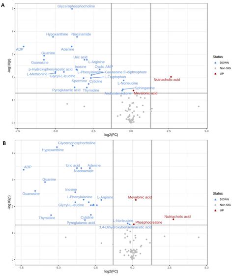 Metabolomics Analysis Revealed Significant Metabolic Changes in Brain ...