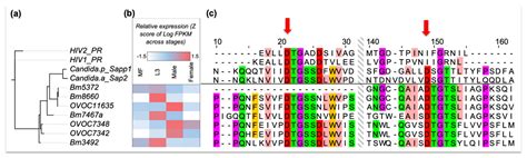 An Integrated Approach to Identify New Anti-Filarial Leads to Treat ...