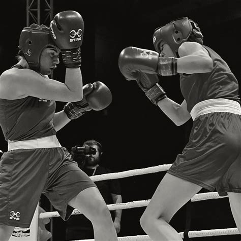 Image result for World Boxing