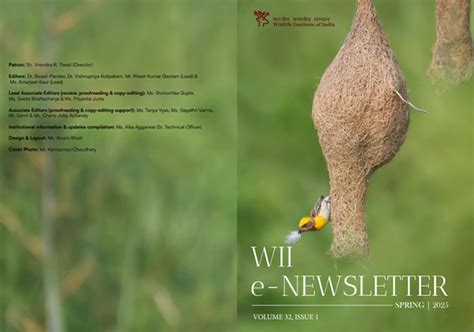 Newsletter Spring 2025