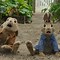 Image result for Cute Wallpapers Lop Bunny