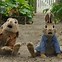 Image result for Baby Bunny Wallpapers for Desktop