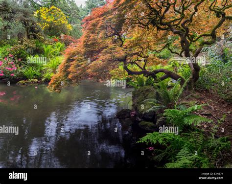 Seattle, WA Kubota Garden city park, structure and spring colors of a ...