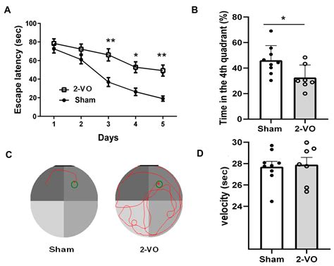 Abnormal Spontaneous Discharges of Primary Sensory Neurons and Pain ...