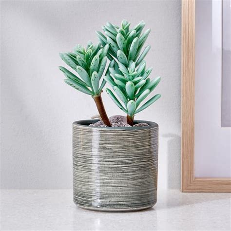 Buy Online Gifts for Her | Gift ideas for Women - Home Centre