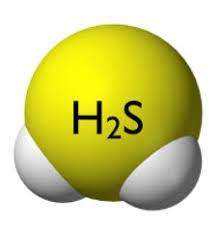 Hydrogen sulfide is used primarily to produce | Ankur Agencies