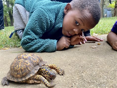 Louisville Nature Center