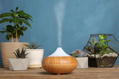 Best Humidifier For Plants in 2021 (Gardener's Choice)