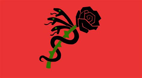 US Flag Libertarian Socialist Design 的图像结果
