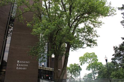 WKU Library Using OpenGL with Source Code 的图像结果