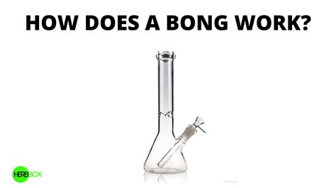 How Does a Bong Work? – HERBBOX India