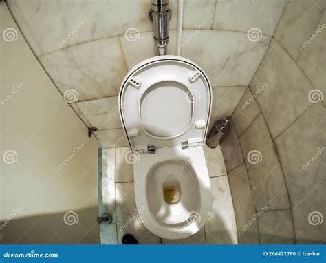 Urinating In A Toilet Dream Meaning at Horace Gant blog