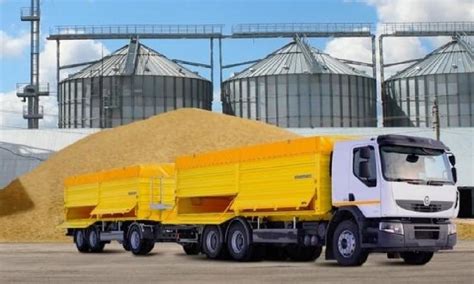 Надежные Перевозки Зерна в Украине и Европе: EA Logistic