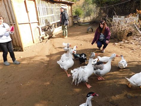 CASA ECOLOGICA (2026) All You Need to Know BEFORE You Go (with Photos ...