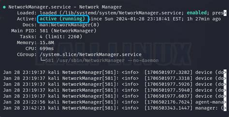 Image result for Kali Linux Install Network Manager