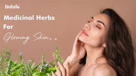 Medicinal Herbs and Plants Benefits :Multani Mitti ,Rose Powder... – Indalo