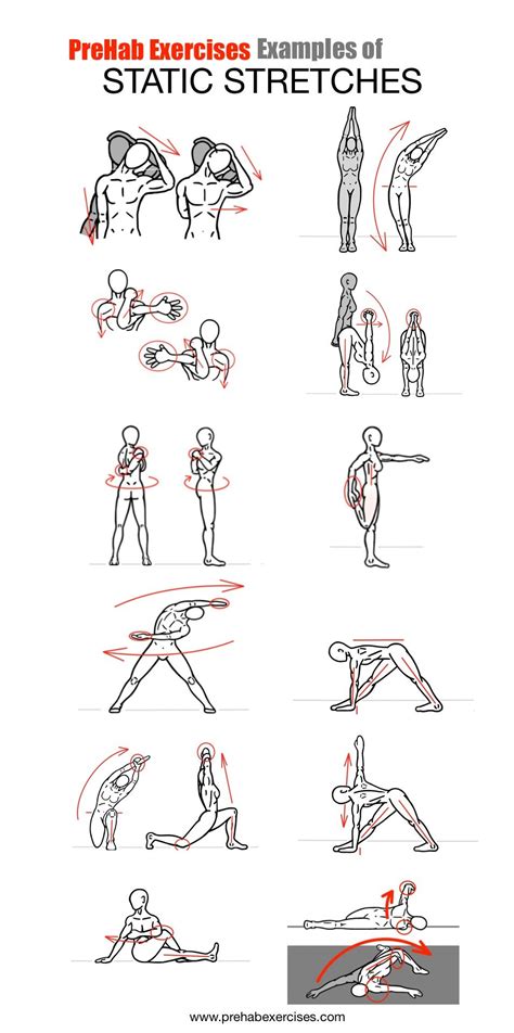 Flexibility Exercises Examples 的图像结果