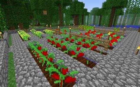 Image result for Minecraft How to Install Timber Mod