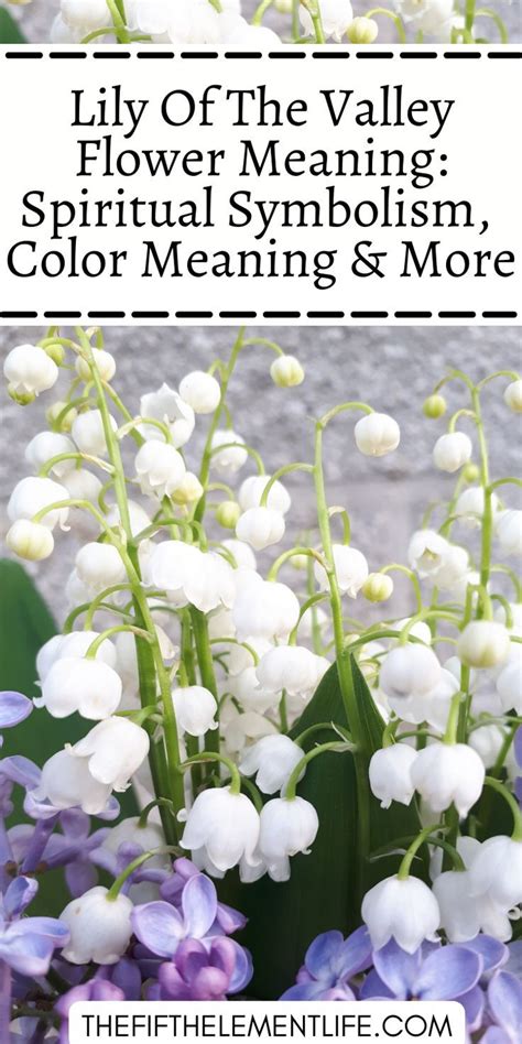 lily of the valley queen meaning